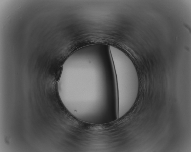X0000092320513200709141053