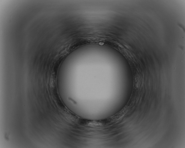 X0000092320515200709141053