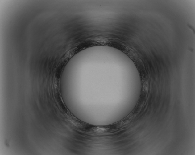 X0000092320518200709141053