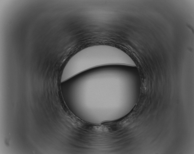 X0000092320520200709141053