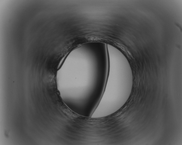 X0000092320521200709141053