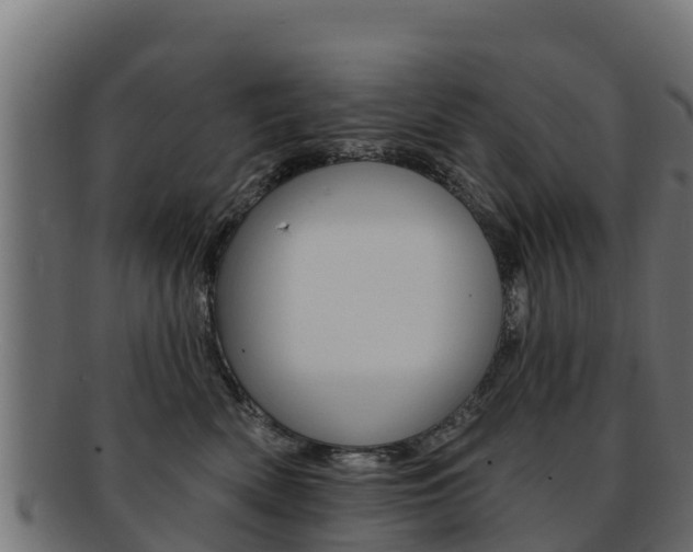 X0000092320522200709141053