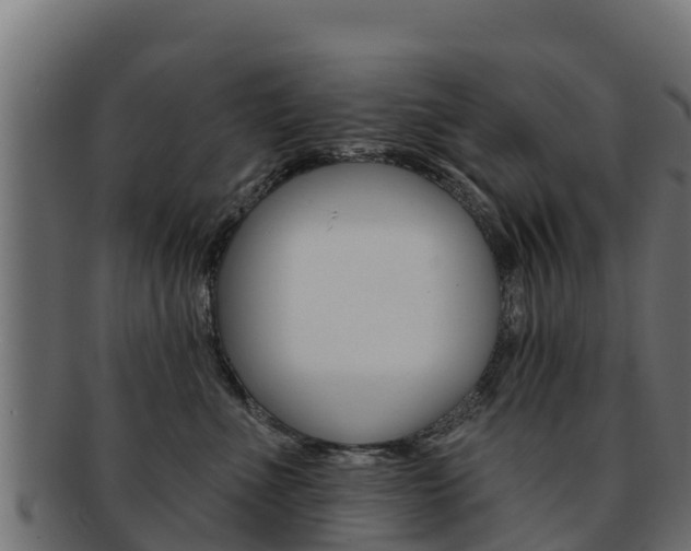 X0000092320523200709141053