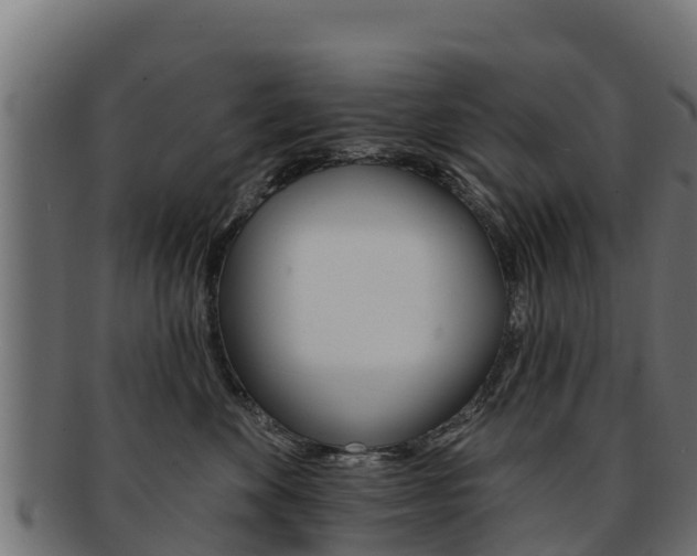 X0000092320524200709141053
