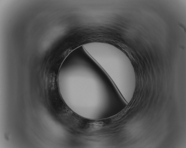 X0000092320525200709141053