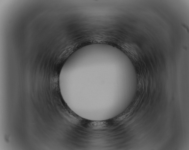 X0000092320526200709141053
