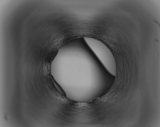 X0000092320528200709141053