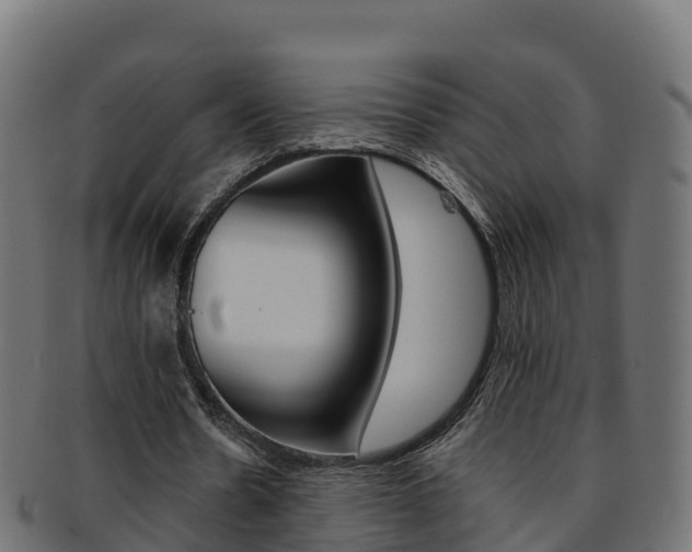 X0000092320530200709141052