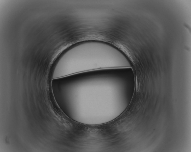 X0000092320531200709141052