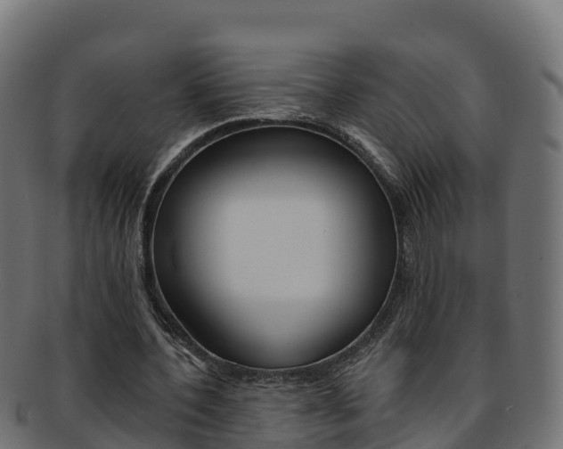 X0000092320532200709141052