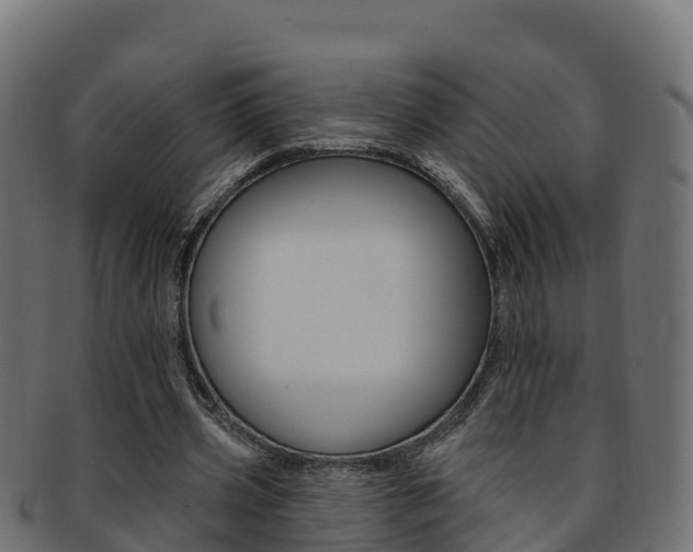 X0000092320533200709141052