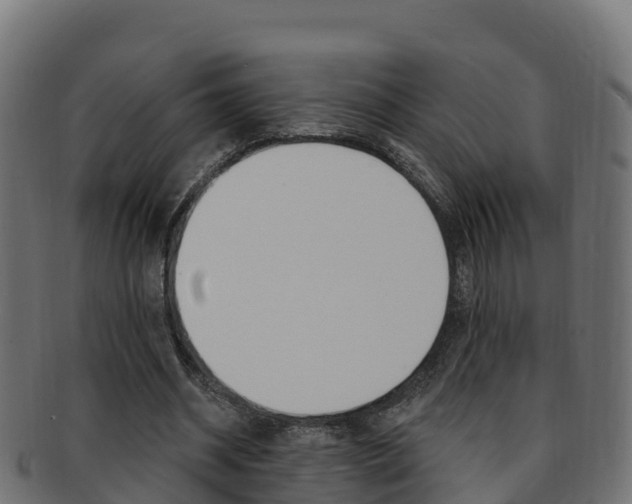X0000092320534200709141052