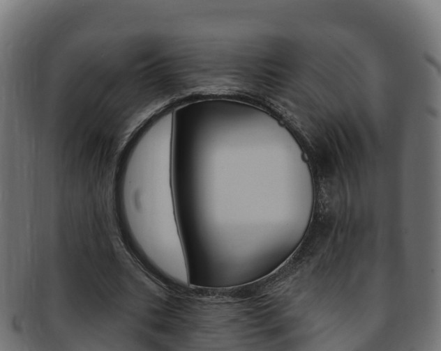 X0000092320535200709141052
