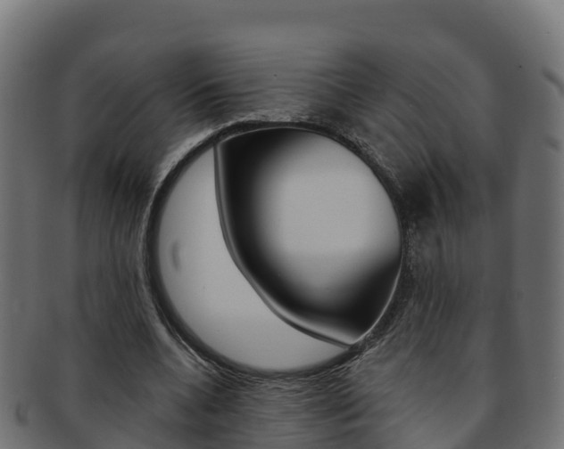 X0000092320536200709141052