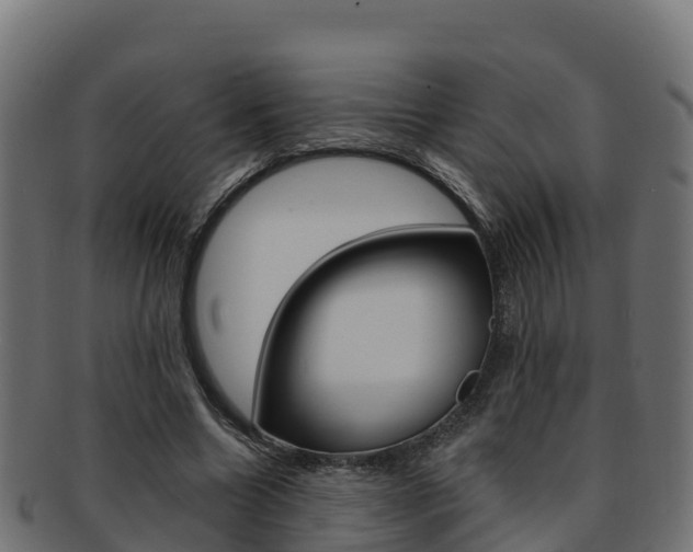 X0000092320538200709141052