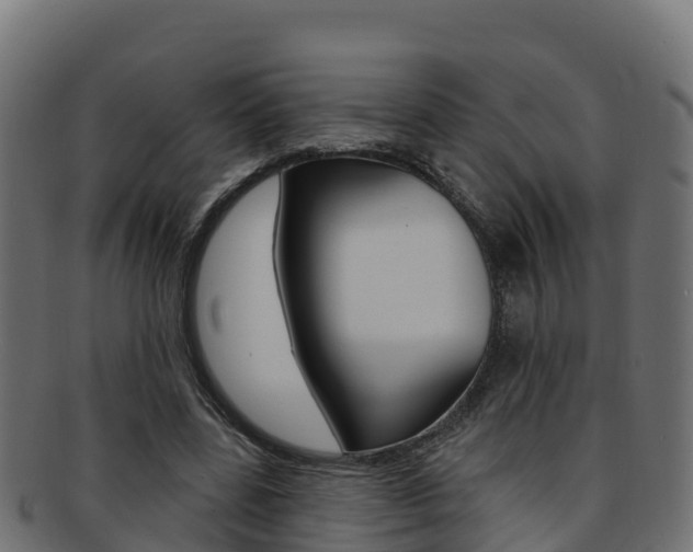 X0000092320539200709141052