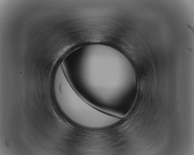 X0000092320540200709141052