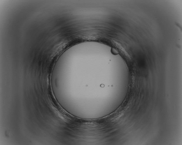 X0000092320541200709141052
