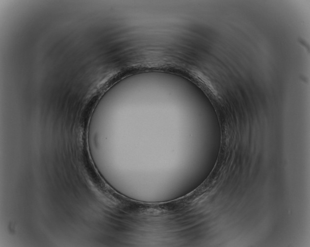 X0000092320542200709141052