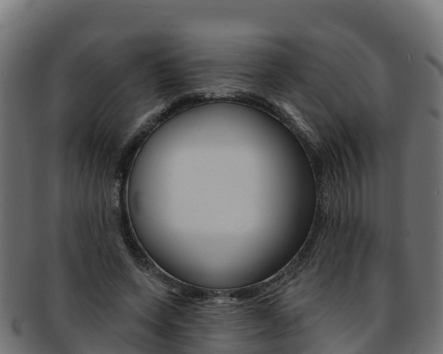 X0000092320543200709141052