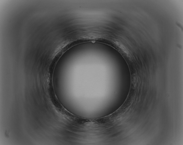 X0000092320544200709141052