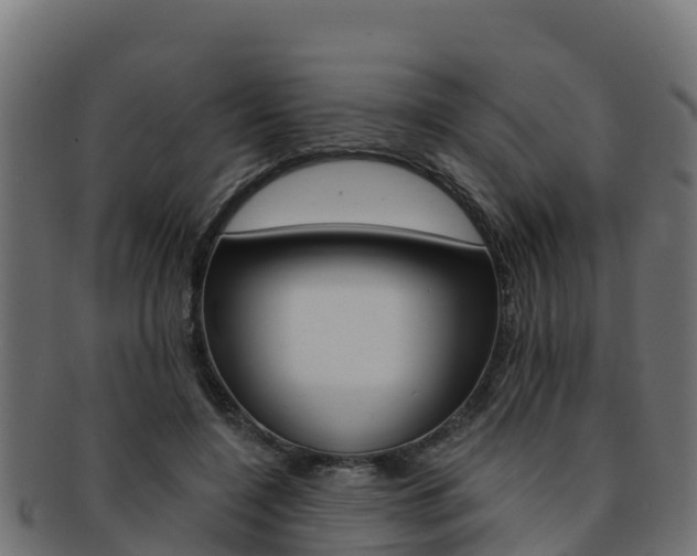 X0000092320548200709141053