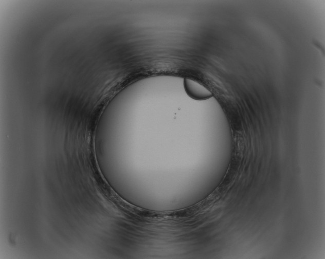 X0000092320550200709141053