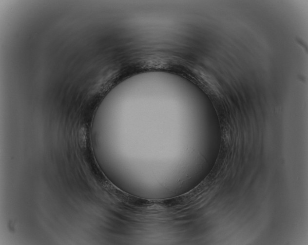 X0000092320551200709141053