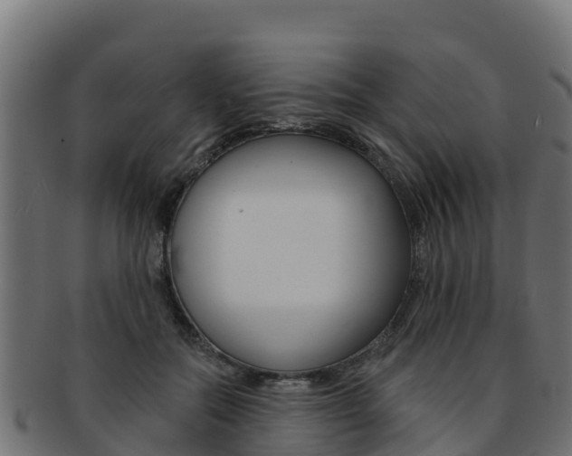 X0000092320554200709141053