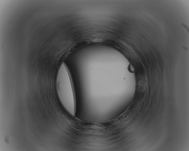 X0000092320555200709141053