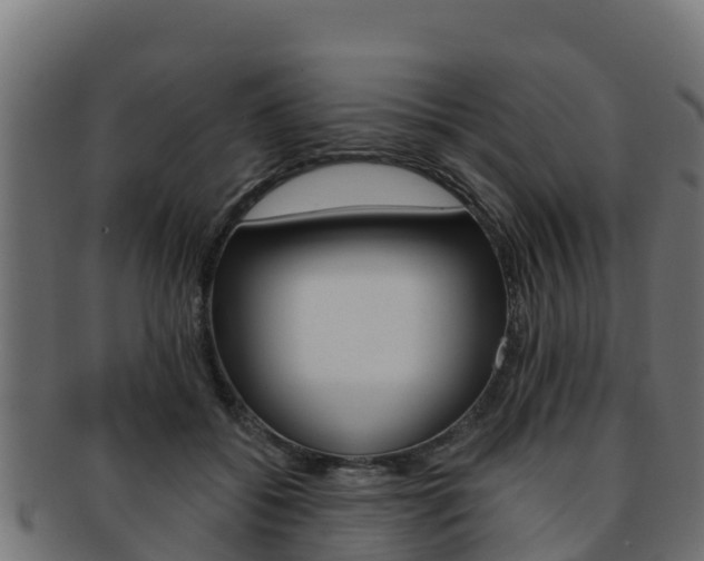 X0000092320556200709141053