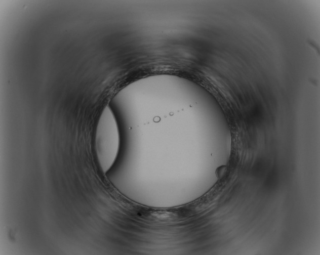 X0000092320557200709141053