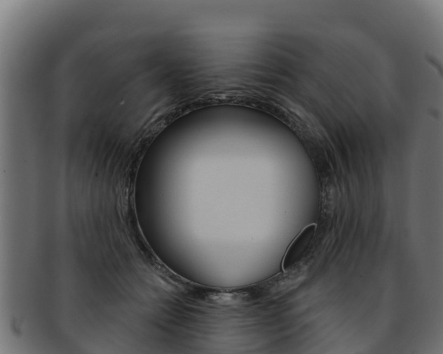 X0000092320558200709141053