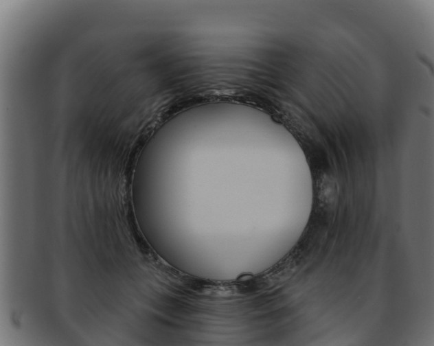 X0000092320559200709141053