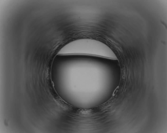 X0000092320560200709141053