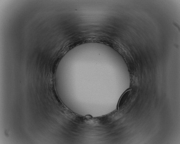 X0000092320561200709141053