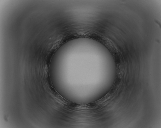 X0000092320563200709141053