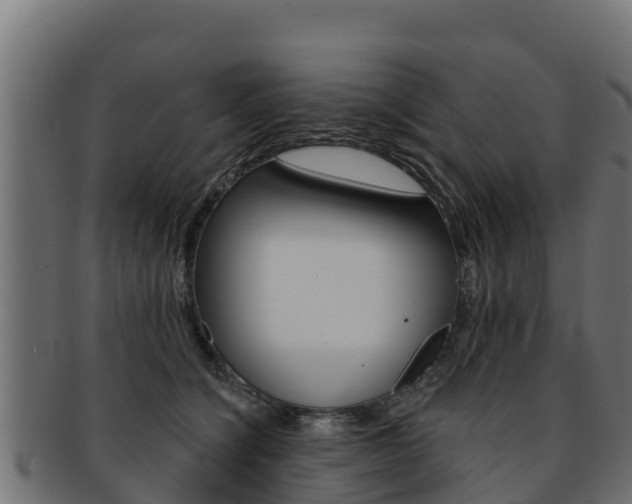 X0000092320564200709141053