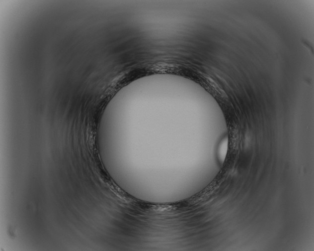 X0000092320569200709141053