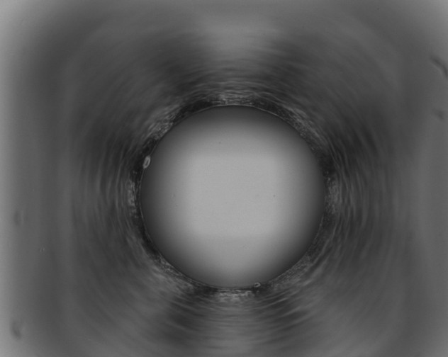 X0000092320571200709141053