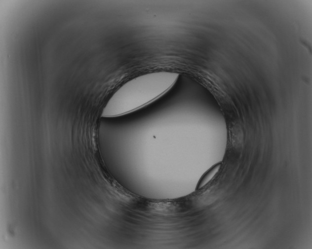 X0000092320575200709141053