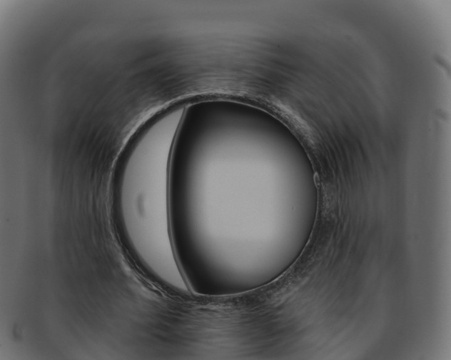 X0000092320580200709141052