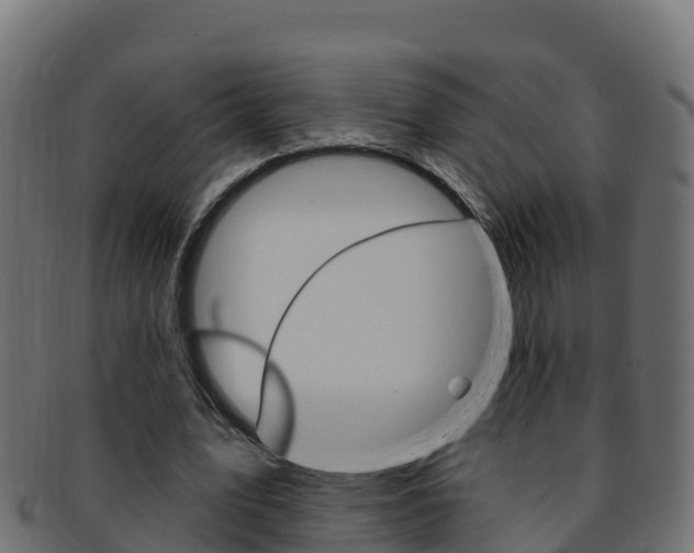 X0000092320583200709141052