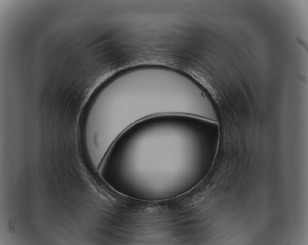 X0000092320584200709141052