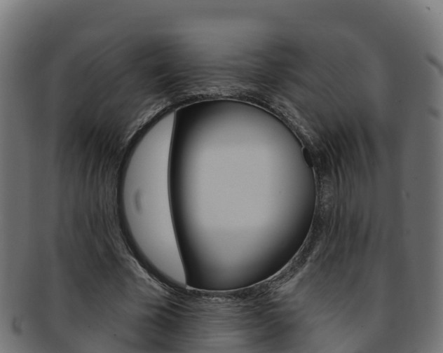 X0000092320585200709141052