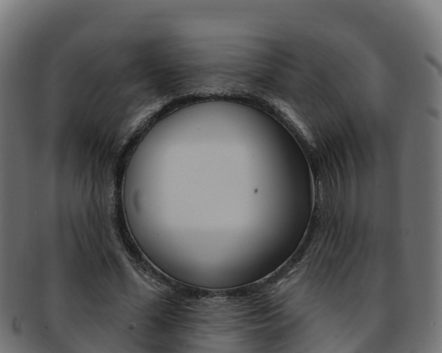 X0000092320588200709141052