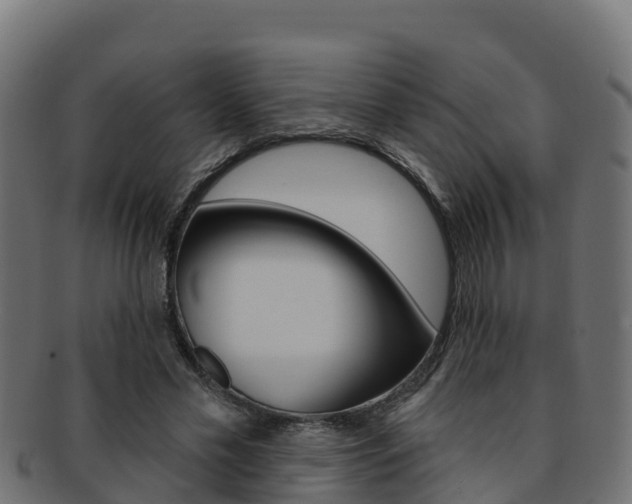 X0000092320589200709141052