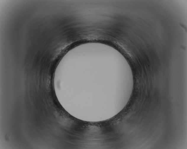 X0000092320592200709141052