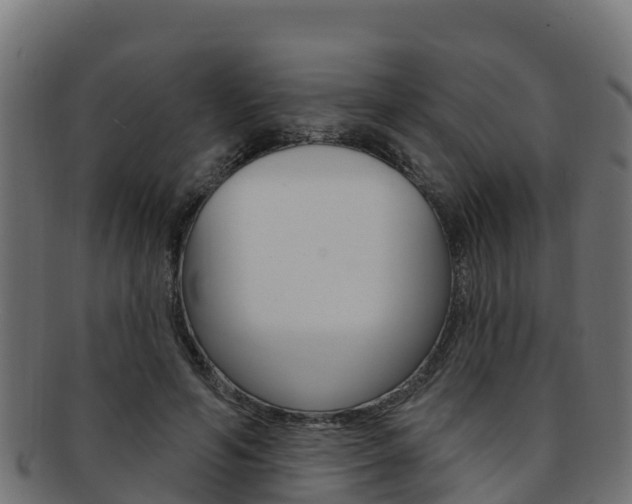 X0000092320594200709141052