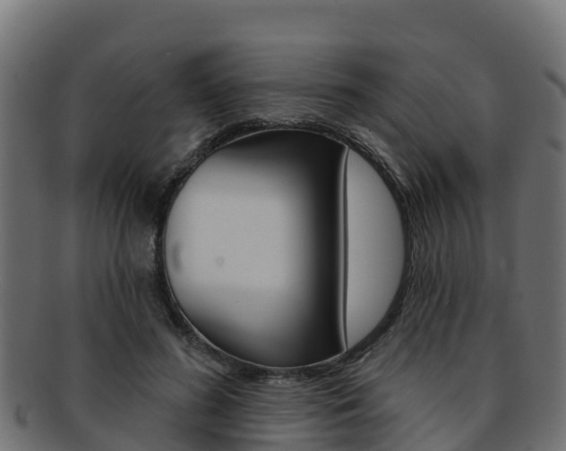 X0000092320596200709141052